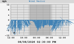 Wind Vector